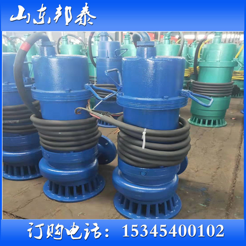 极速380v三项医院排污防爆潜水泵BT4WQB2.2KW市政污水污物潜污电
