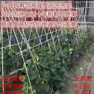 速发农用小拱棚支架拱竿蔬菜保温棚菜棚杆遮防钢玻架子网璃虫赵之