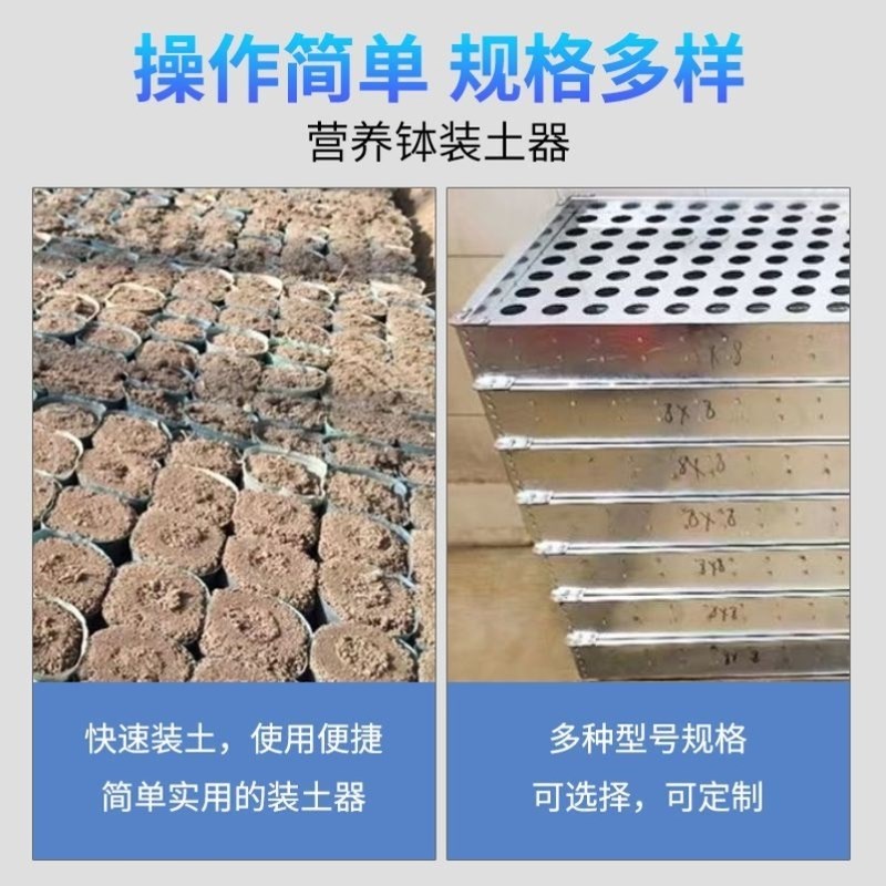 速发育苗加厚种植杯装装土土器神器营养快速装土器托盘农用模具工