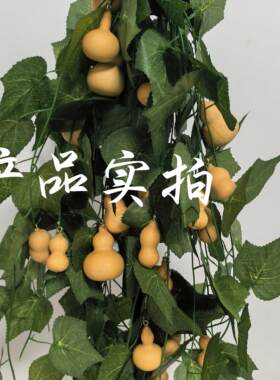 天然小葫芦装饰挂件绿叶藤条绿植绿叶吊顶管道装饰缠绕塑料叶装饰