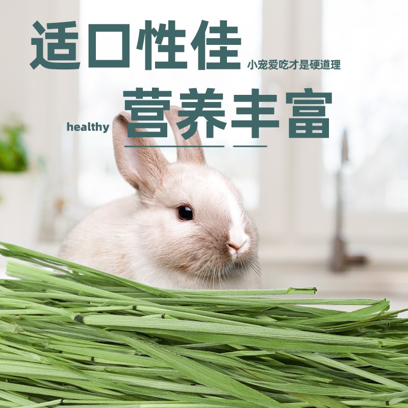 现货速发提摩西草干草兔子粮草食用兔粮饲料豚鼠猪的提莫晒干牧草