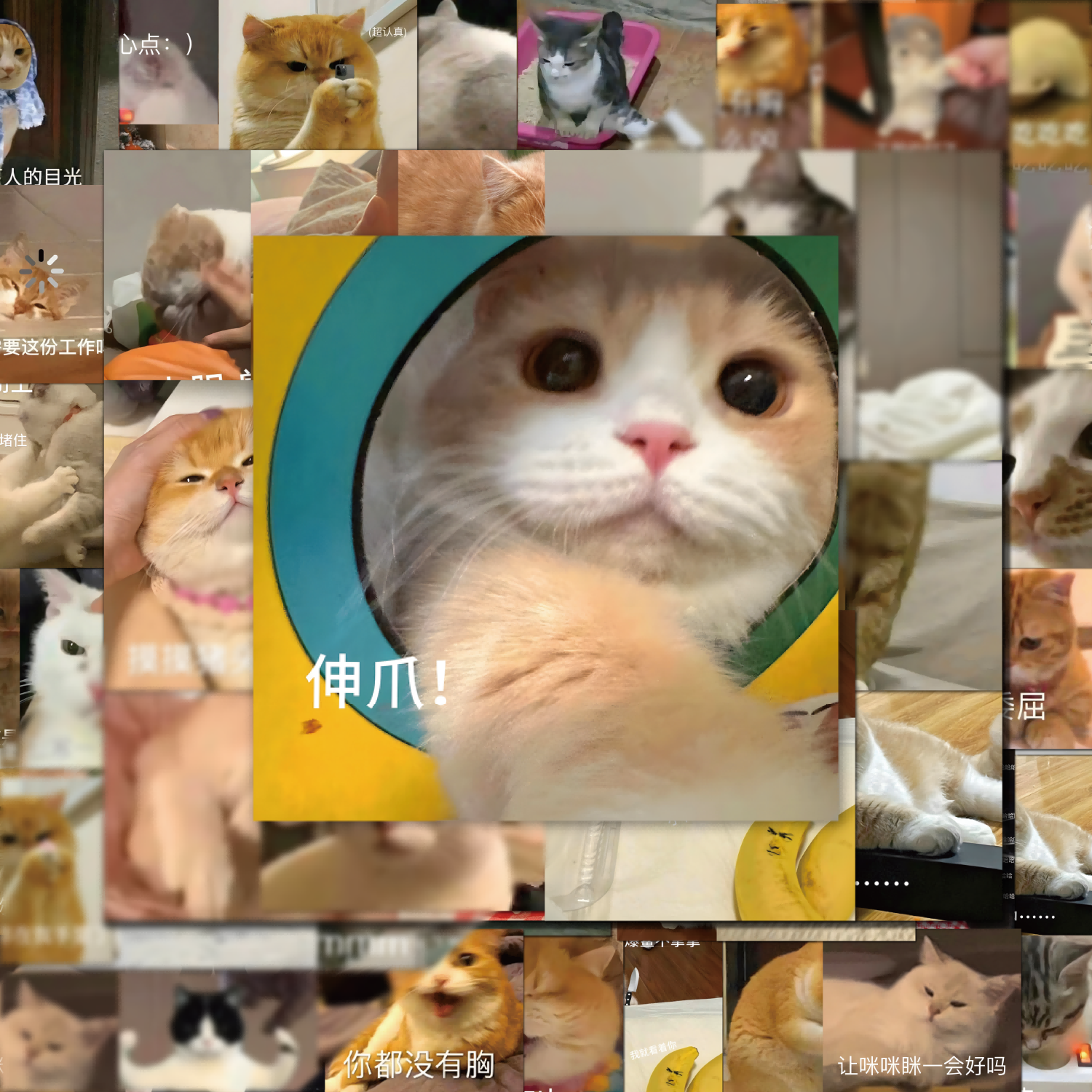 可爱猫咪表情包贴纸搞笑搞怪防水