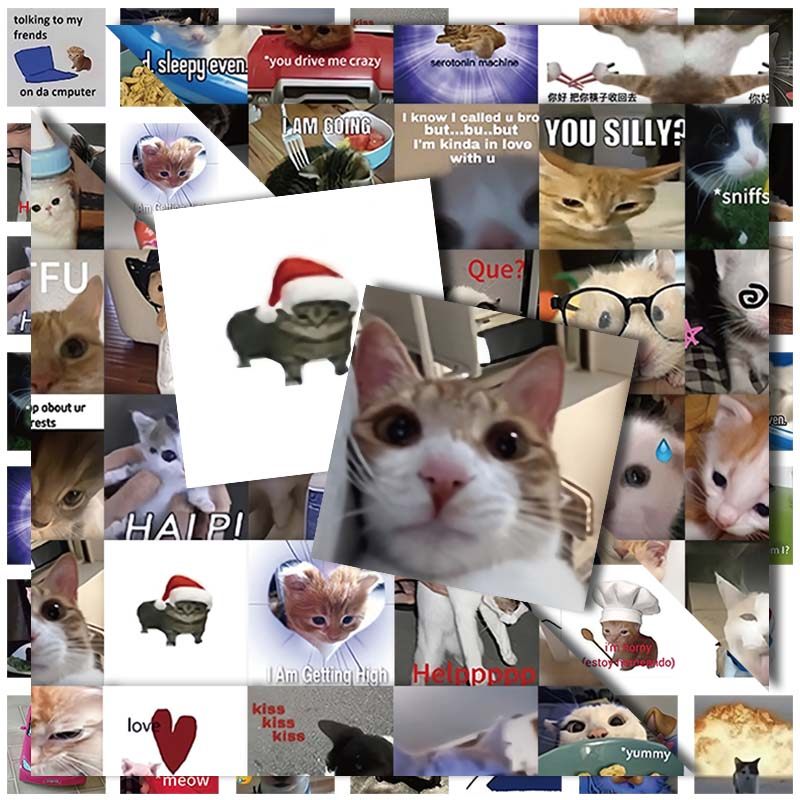 陶创创搞怪猫meme梗图贴纸