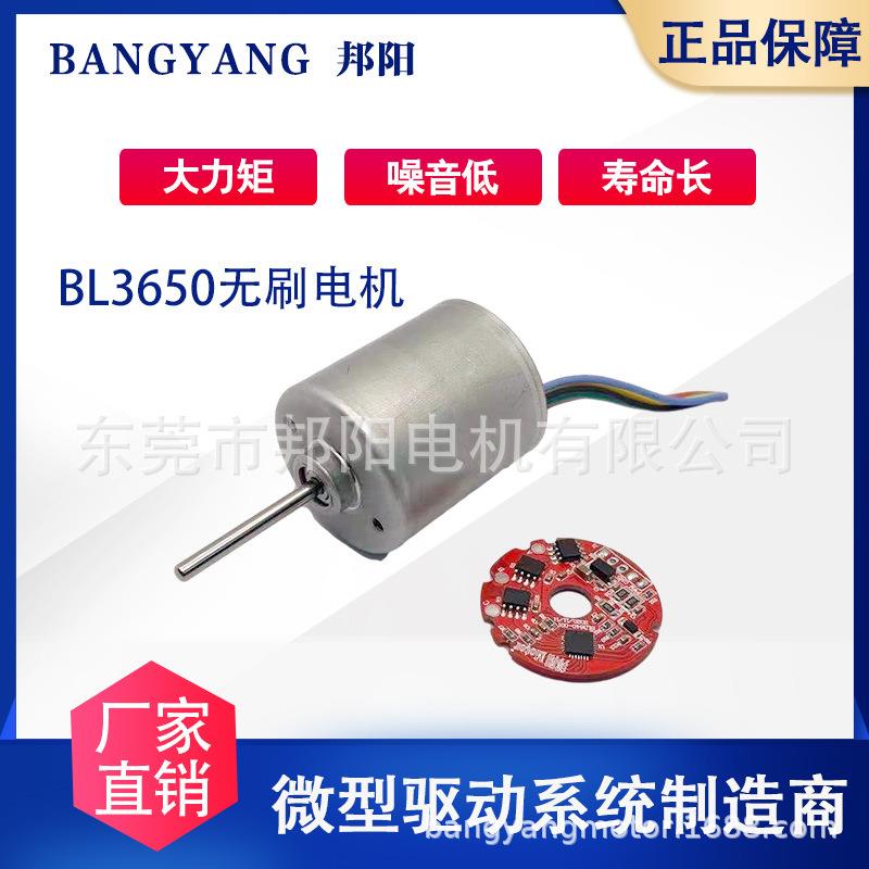 工厂BLDC3650直流无刷电机内置驱动水泵长寿命刹车静音马达