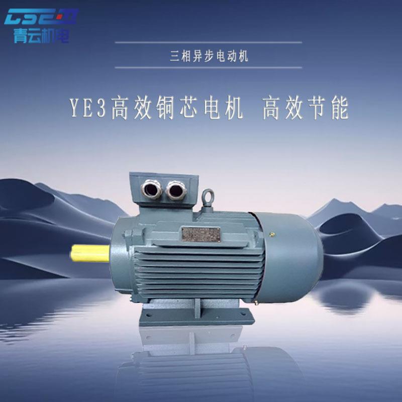 三相异步电动机5.5-22W工业电机IP55防护高效节能