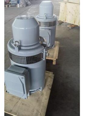 IP23IP55TEFC250千瓦300w350w大功率VHS电机