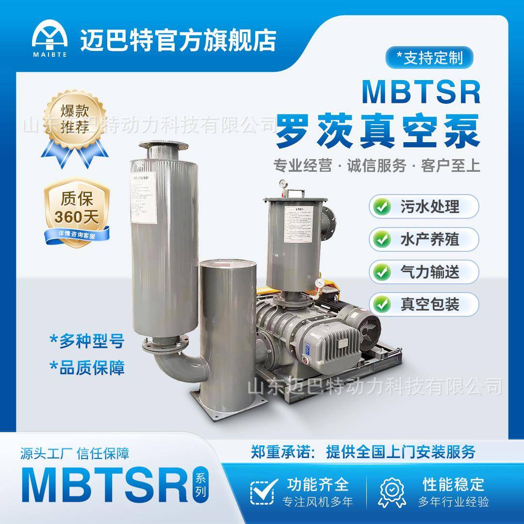 负压真空泵罗茨鼓风机真空设备电动真空泵电动抽气真空泵