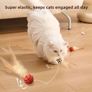 猫弹球玩具,羽毛猫逗趣棒,自我刺激,消除无聊,防抓咬猫耗能小猫用