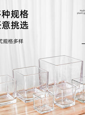 北欧简约水培透明玻璃花瓶方形花盆正绿萝水植物器皿摆件插花方缸
