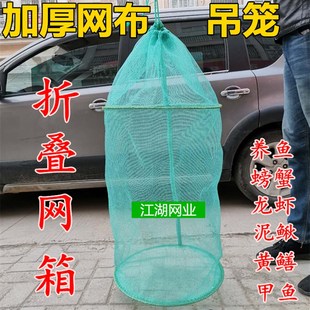 速发养兜折叠网箱速干防挂养鱼龙形螃蟹鳅泥黄鳝圆虾吊笼存鱼鱼护