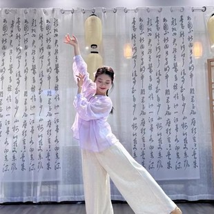 速发舞服高端淡宽纯苎典粉松长袖 舞服古麻舞服气质百搭国风