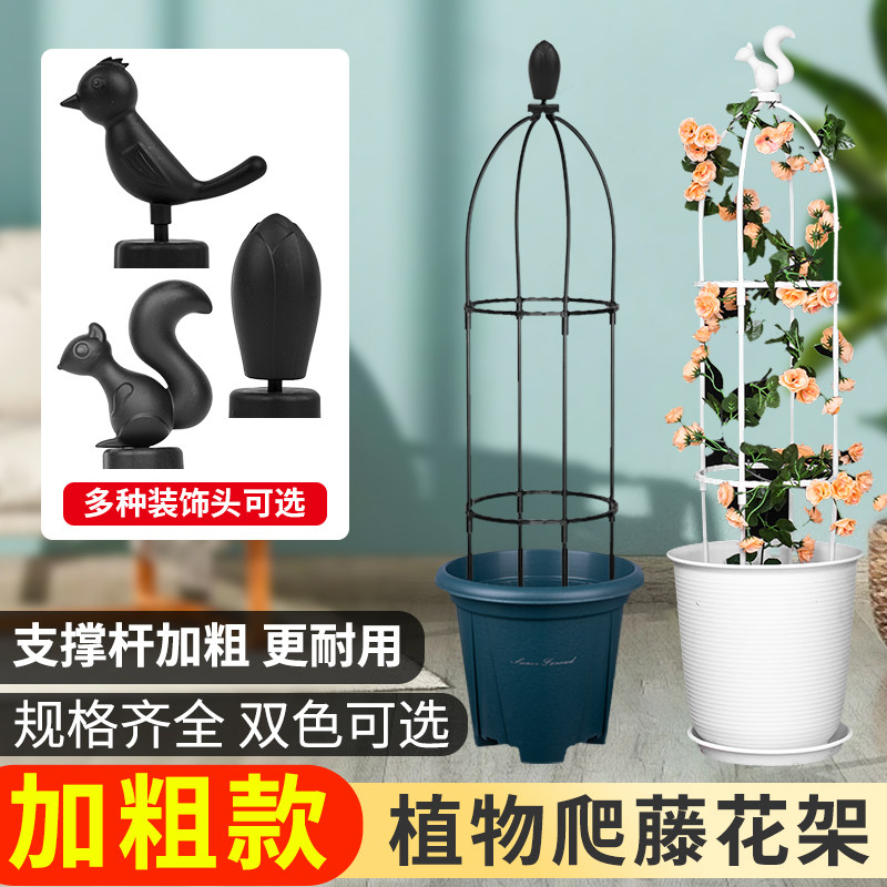 速发爬藤架花架植物攀爬架架艺支园藤铁月季本线莲支撑杆飘香藤玫