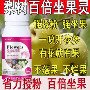 速发梨树专用授素药授粉座果精授粉花果粉防落素保花保果素沾花素