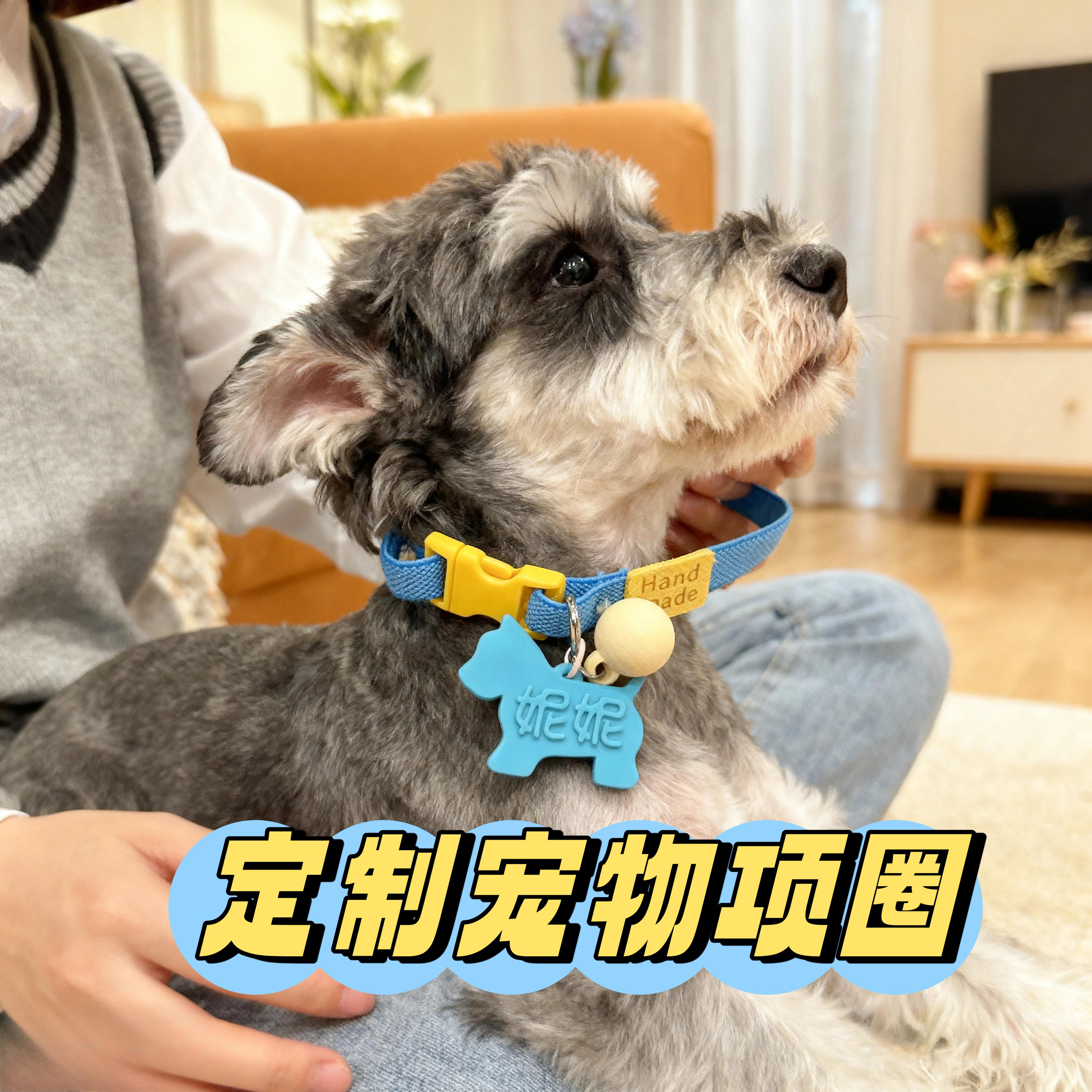 定制宠物项圈刻字姓名电话