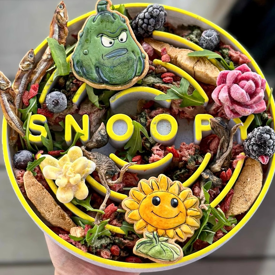 「可定制」名字猫狗慢食碗防暴食新款猫狗通用多尺寸环保PLA塑料