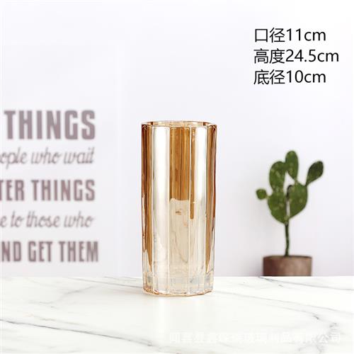 欧式轻奢创意造型电镀玻璃花瓶水培水培富贵竹居家艺术摆件装饰品