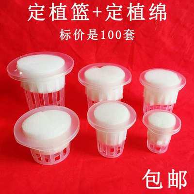 鱼缸水培植物固定篮器皿定植篮固定器圆形无土栽培固根器水草塑料