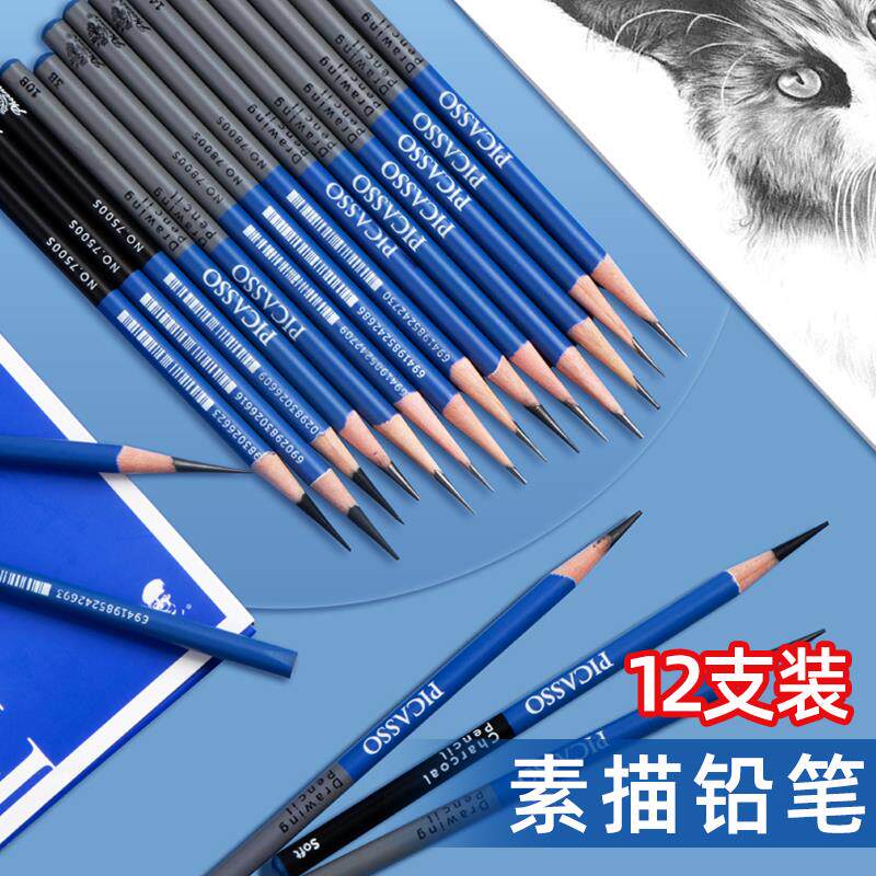 速发凤凰画材毕加索初学者素描工具套装2h2b素描笔4b速写特软碳炭