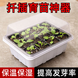 速发扦插育苗土养盆营用钵装专神器月季扦插盆多肉神器草莓穴盘杯