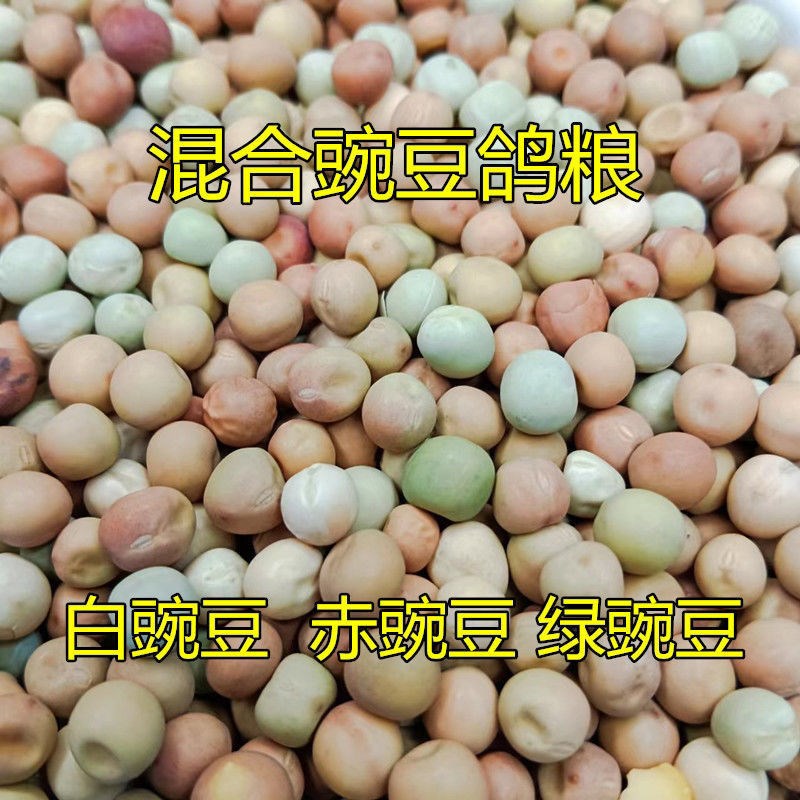 速发豌豆粮用白豌豆绿豌豆麻食豆混合豌豆饲料蛋白幼鸽鸽食鸟豌肉