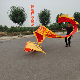 速发广场舞健身龙彩带伸缩杆成人彩绸舞龙飘绸带龙金布年烫中龙老