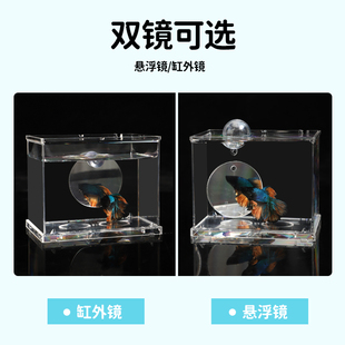 泰国斗鱼训练镜子专用悬浮球缸外镜罗汉鱼雷龙鱼造景小型鱼缸摆件