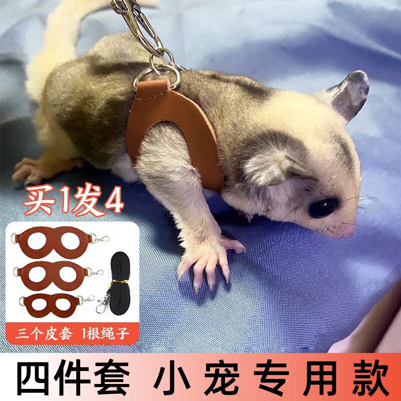 蜜袋鼯牵引绳背带松鼠外出绳子