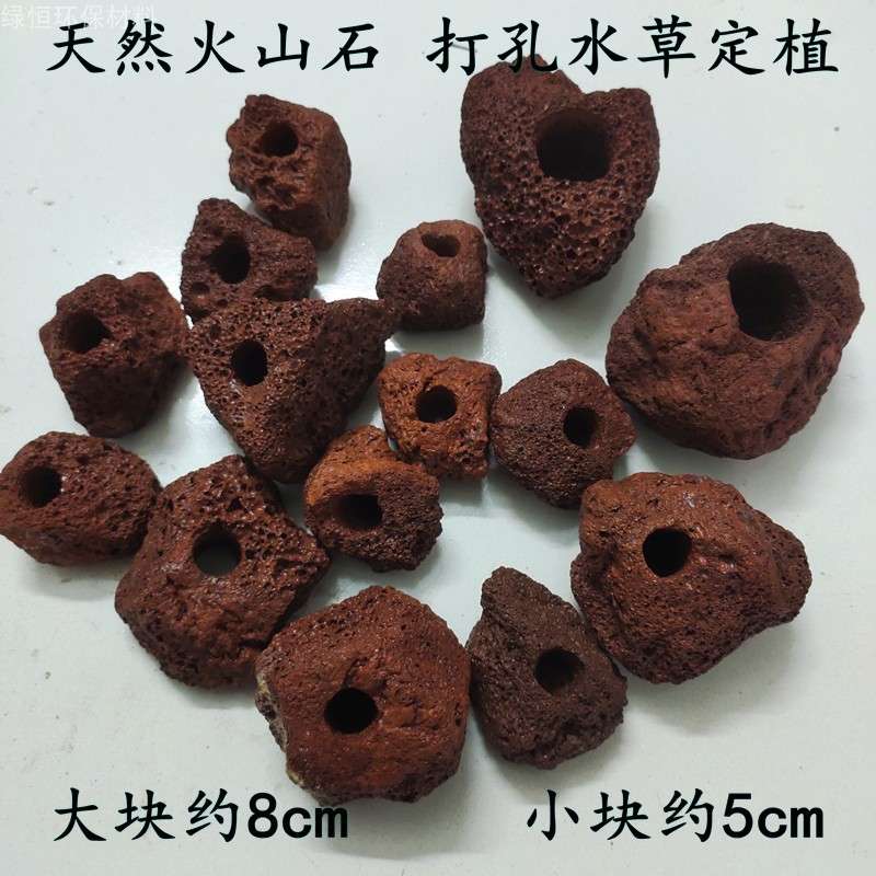 火山石定植环种花大号水草固定种植红色定植环鱼缸底座过滤商用