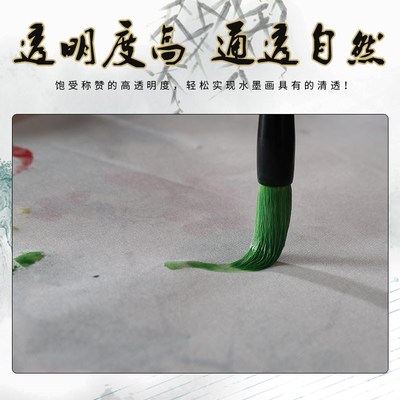 国画颜料宣青沁明堂高级矿物质工笔画入门22色套装山水花鸟专用