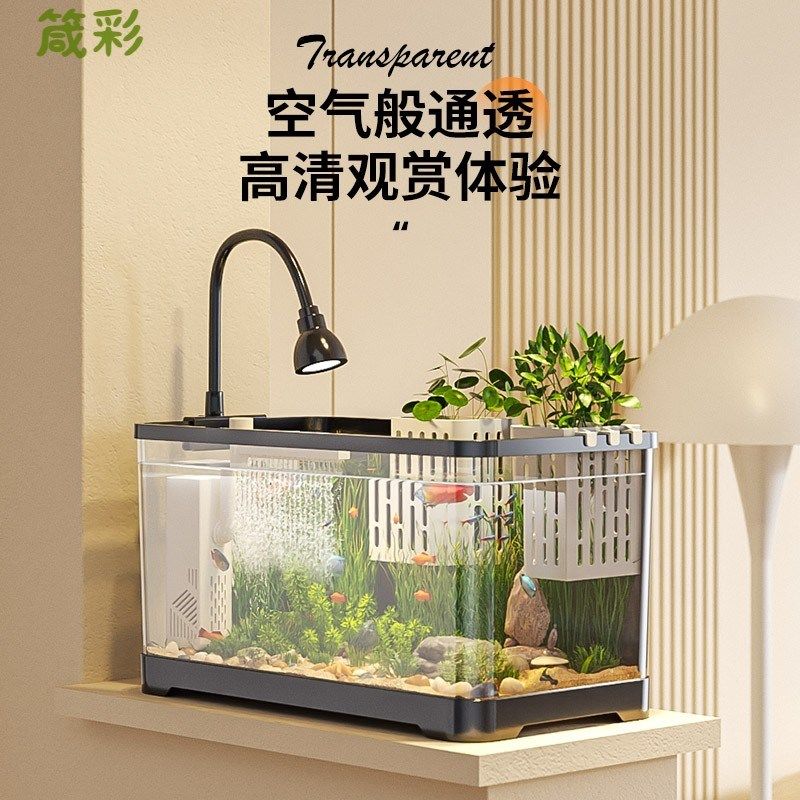鱼缸小型客厅2024新款造景生态缸过滤制氧一体机金鱼底滤系统整套