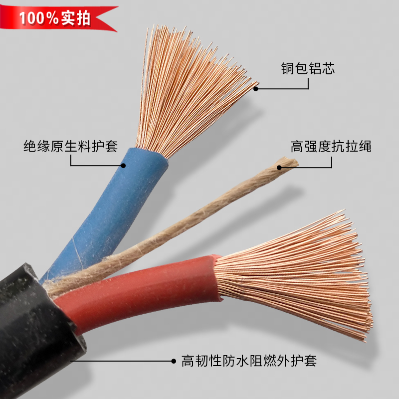 二芯国标2.5 4 6平方电线电缆线2芯户外防冻防水软线电源线护套线