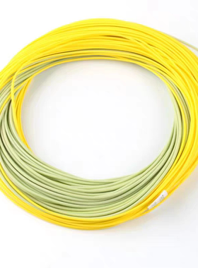 Gold飞钓主线WF远投飞蝇线浮水主线飞钓线带双接头双色飞蝇钓主线