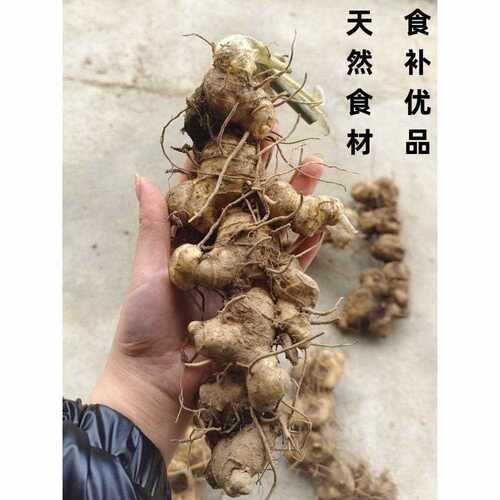 新疆包邮【顺丰包邮】广西桂林猫儿山五年以上鲜黄精泡茶煲汤泡酒