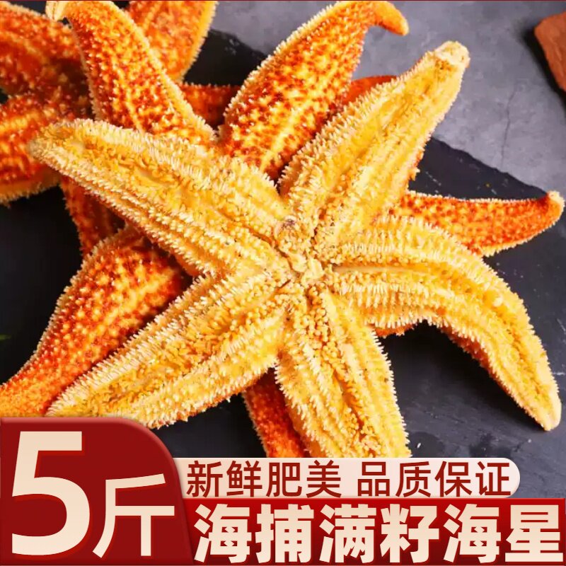 海星鲜活派大星新鲜熟冻速冻海星满籽海鲜野生五角星食用海星顺丰