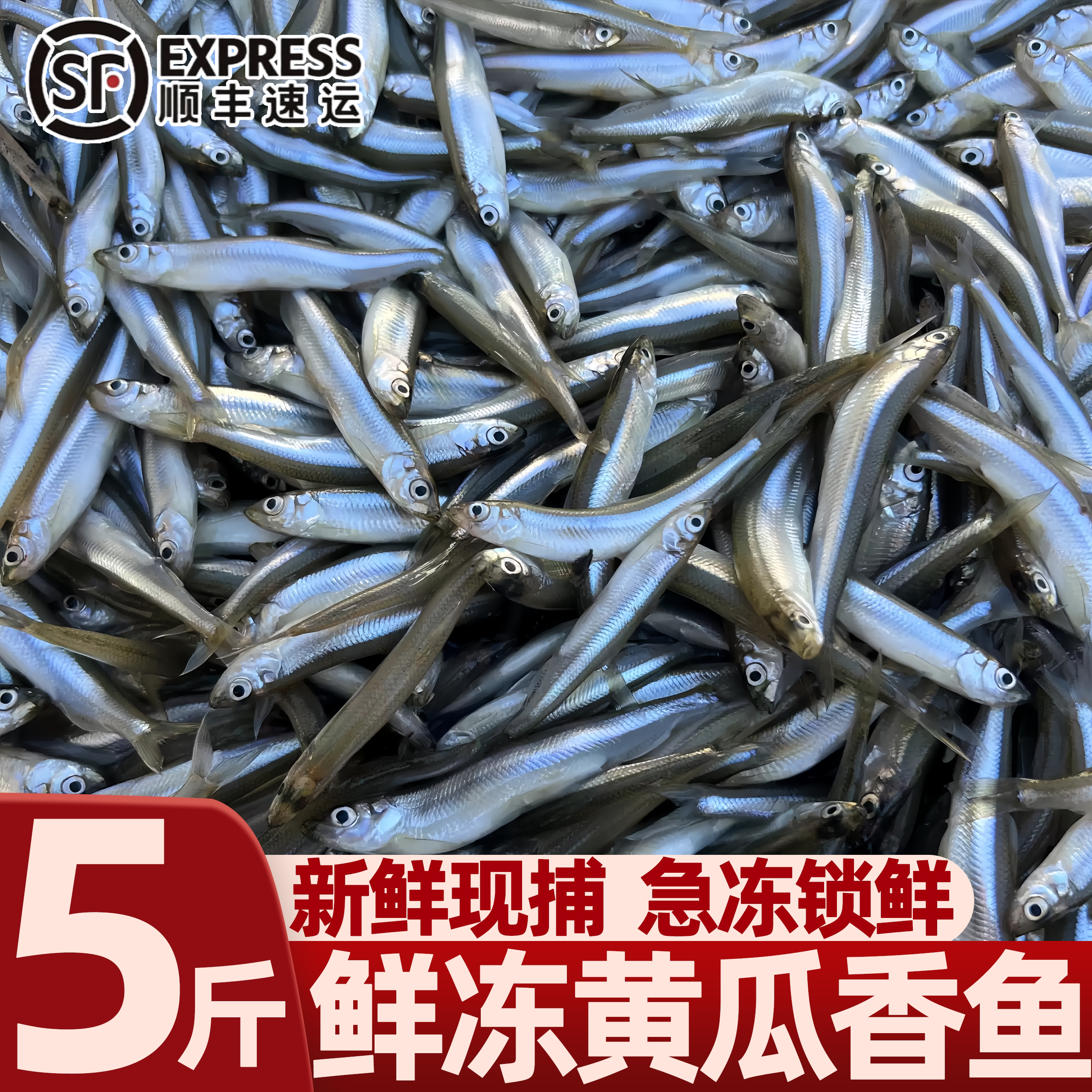 正宗东北黄瓜香小公鱼冷冻锁鲜
