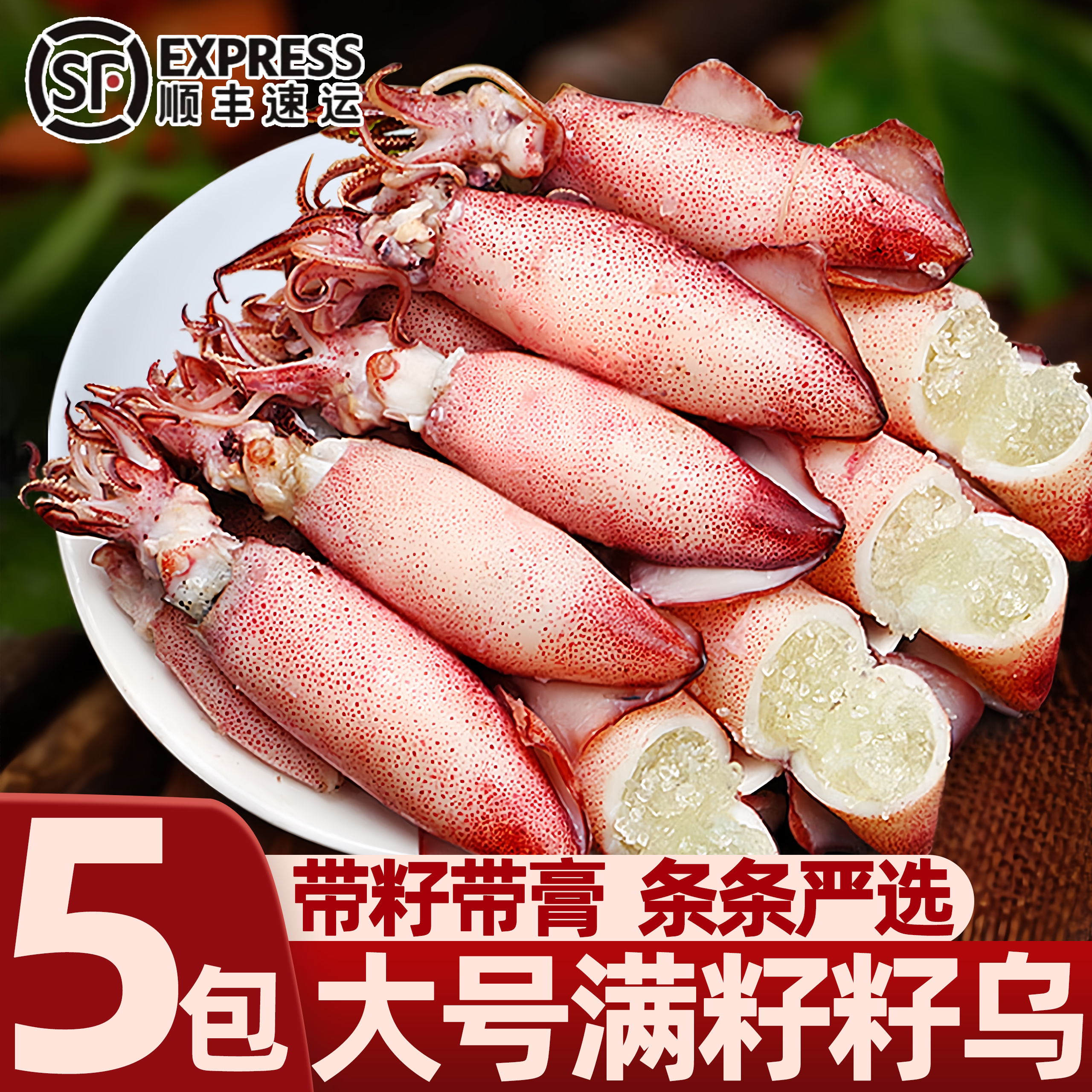 山东日照全籽籽乌冷冻鱿鱼批发