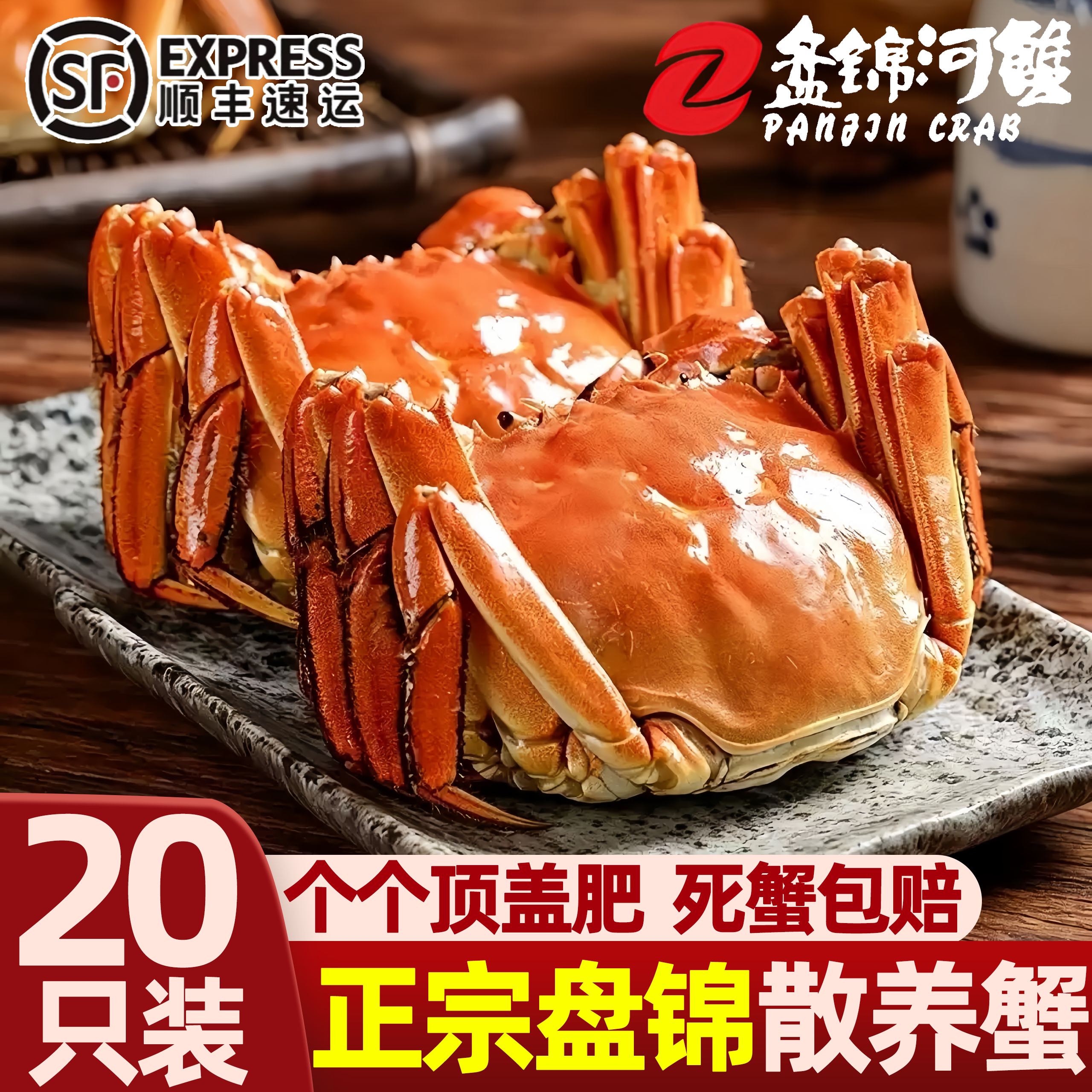 盘锦特惠纯母河蟹去绳净重整箱