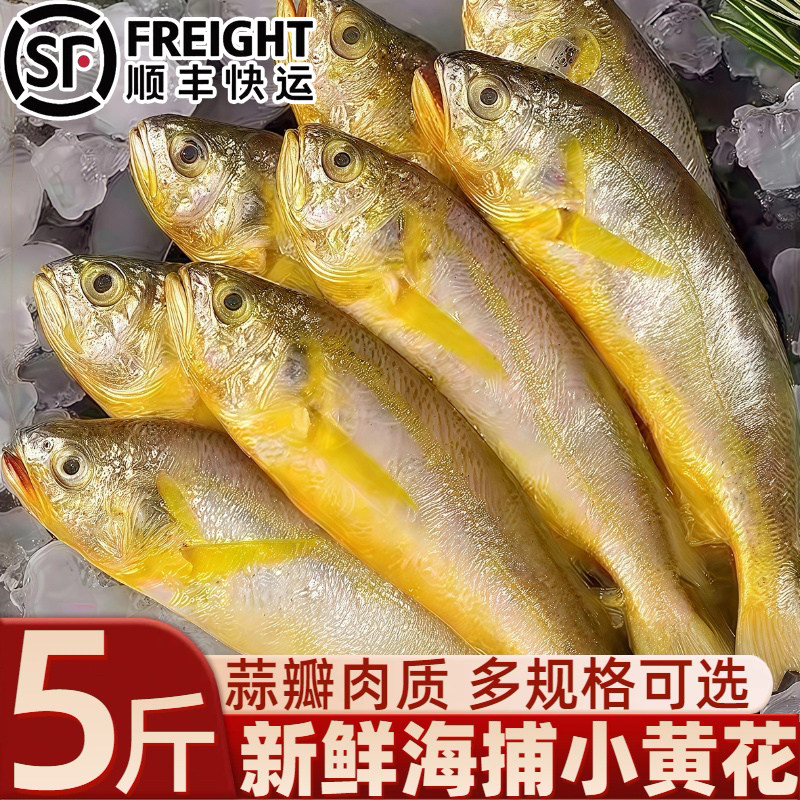 小黄花鱼新鲜海捕冷冻