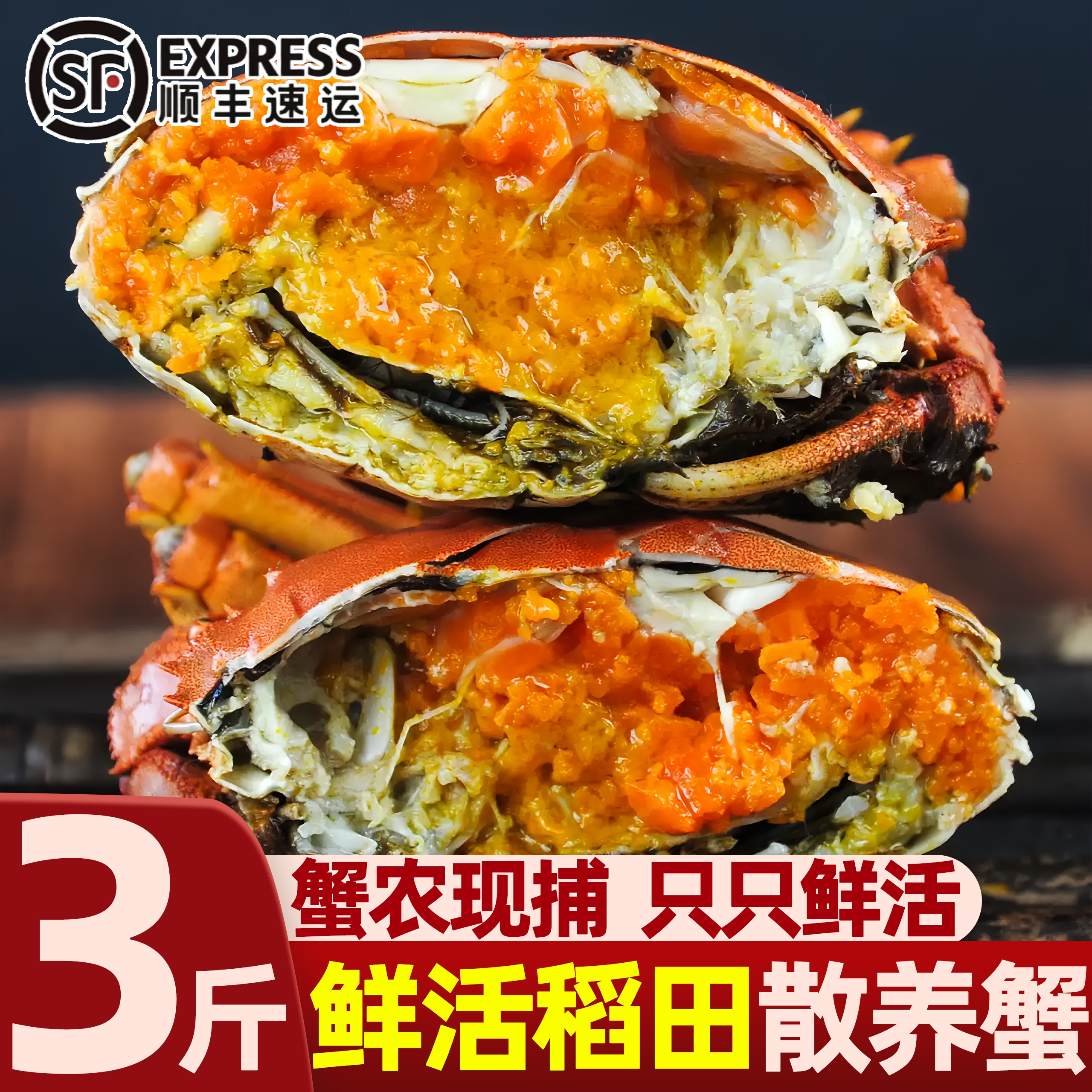 盘锦鲜活河蟹现捕现发顺丰