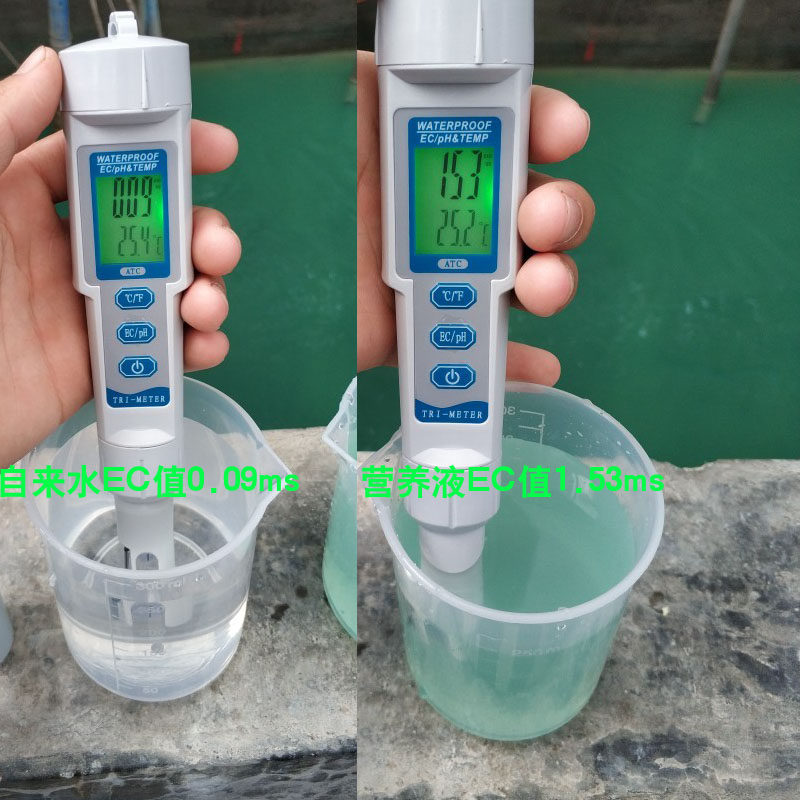 速发高精度可携式PHEC检测仪水族ph产测试笔测值养殖水质检水器