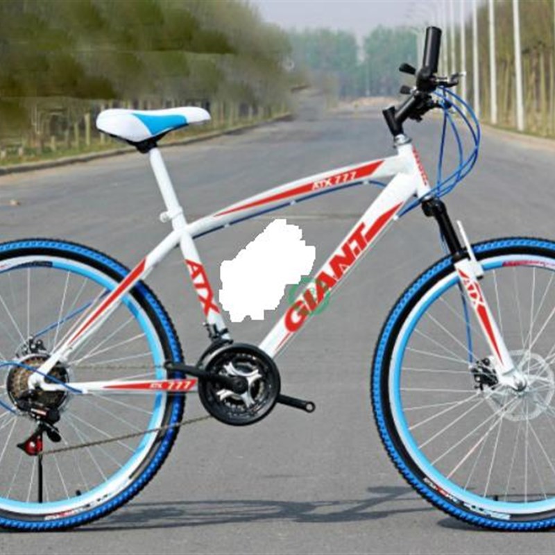 自行车贴纸 公路车山地车车架贴个性车架反光放水 放晒贴纸