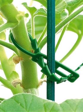 多用途鱼骨刺绿色园林绑扎带,园林线 扎带 园艺鱼骨扎线植物固定