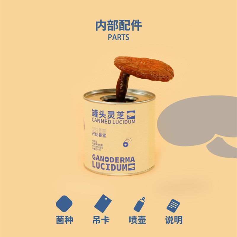 招财灵芝罐头绿植物小盆栽办公室内桌面盆景情绪稳定摆件