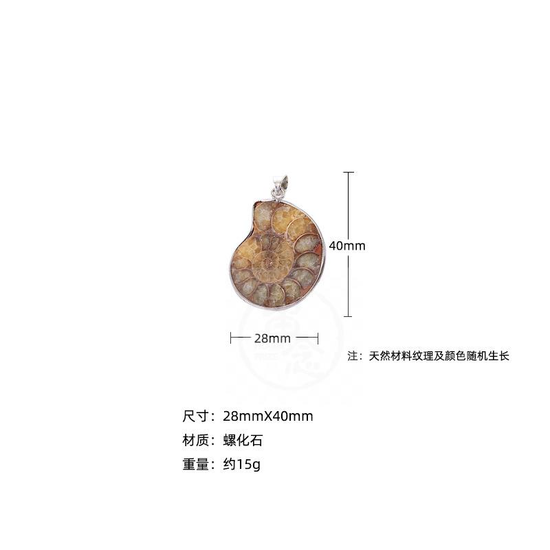 。Natural conch fossil shell pendant marine conch animal Nec