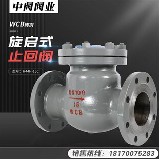 逆向阀蒸汽止逆阀 16C铸钢卧式 极速德国进口法兰旋启式 止回阀H44H