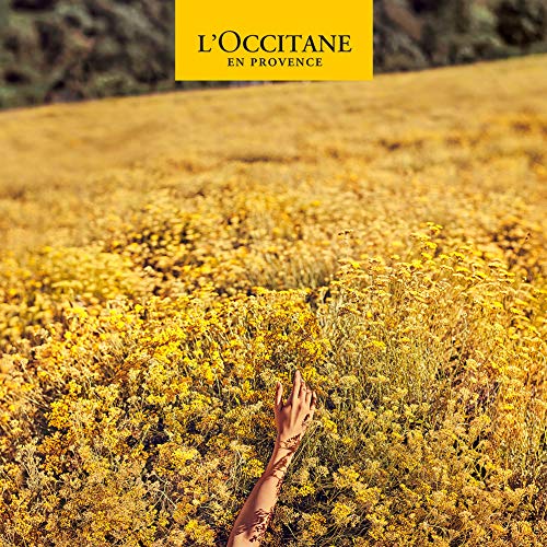 LOccitane L Occitane Shea Ultra Rich Fl Oz