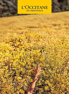 LOccitane L  Occitane Shea Ultra Rich Fl Oz