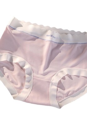 Womens Seamless Underwear Ice Silk Plus Size Stretch Panties