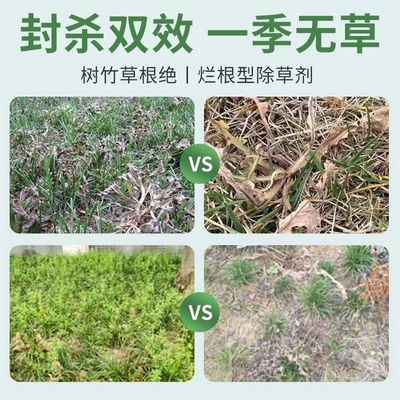 精草铵磷铵盐除草烂根剂辣椒地除草专用剂青椒红椒苗后强力除草药