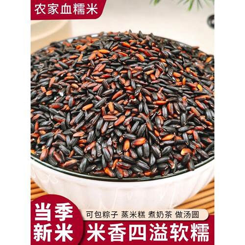 东北血糯米新米农家自种五谷杂粮糙米非煮粥5斤粗粮饭粥优质紫米